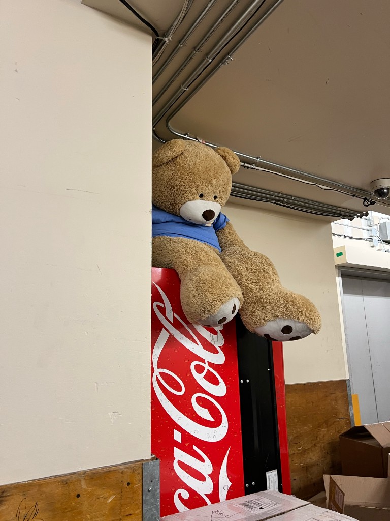 The giant bear perched on top of a Coca-Cola fridge backstage